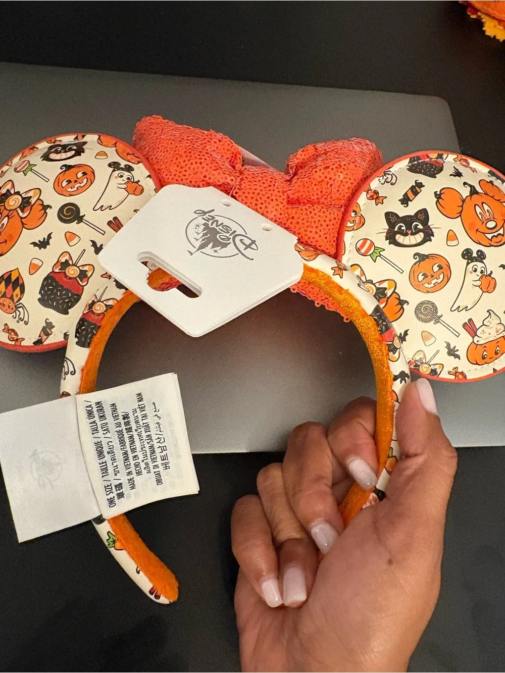 Disneyland Resort you won